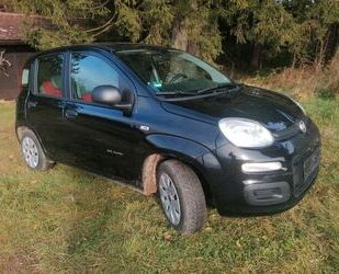 Fiat Fiat New Panda 1.2 8V EASY EASY Gebrauchtwagen