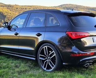 Audi Audi SQ5 3.0 TDI plus Tiptr. SHZG Gebrauchtwagen