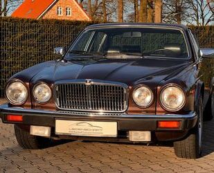 Jaguar Jaguar XJ6 4.2 Sovereign Serie III Gebrauchtwagen