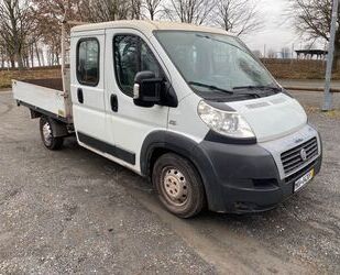 Fiat Fiat Ducato Gebrauchtwagen