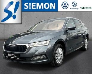 Skoda Skoda Octavia Combi 2.0 TDI DSG Style AHK DynLED N Gebrauchtwagen