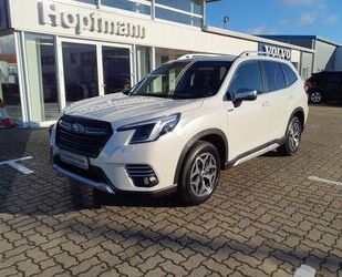 Subaru Subaru Forester 2.0 AWD Aut. Comfort/ACC/Navi/LED Gebrauchtwagen