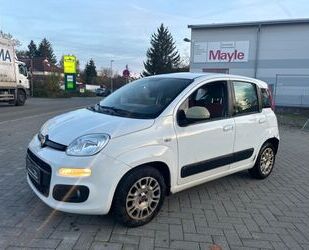 Fiat Fiat Panda 1.2l Lounge #120Tkm #Klima #Euro6 #1-Ha Gebrauchtwagen