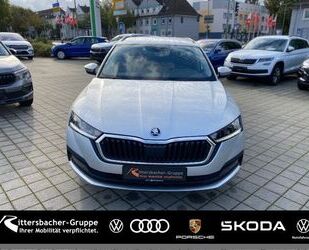 Skoda Skoda Octavia Combi 2.0 TDI DSG Ambition AHK Gebrauchtwagen