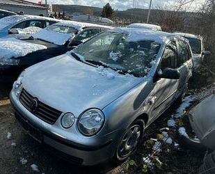 VW Volkswagen Polo Gebrauchtwagen