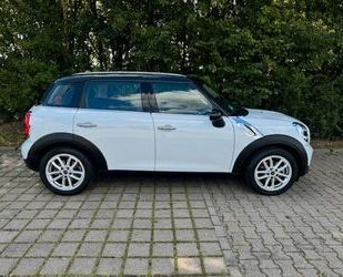 Mini MINI Cooper Countryman Panoramadach Navi Vollleder Gebrauchtwagen