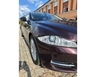 Jaguar Jaguar XJ Premium Luxury 3.0 V6 Diesel Langversion Gebrauchtwagen