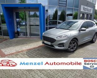 Ford Ford Kuga 1.5 EcoBoost ST-Line Navi Kamera LED DAB Gebrauchtwagen