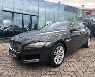 Jaguar Jaguar XF 25t Portfolio LED|ACC|Keyless|360° Kamer Gebrauchtwagen