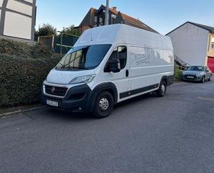 Fiat Fiat Ducato Ducato Maxi L5H3 Gebrauchtwagen