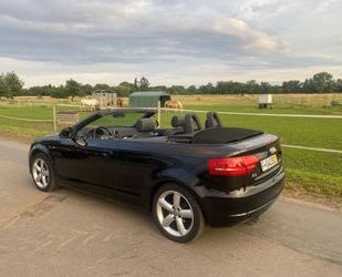 Audi Audi A3 1.9 TDI S line Cabriolet S line Gebrauchtwagen