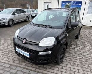 Fiat Panda Gebrauchtwagen