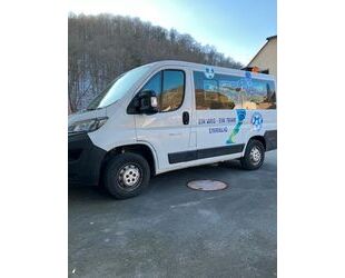 Fiat Fiat Ducato Gebrauchtwagen