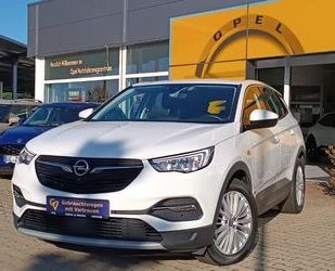 Opel Opel Grandland X Inno PHEV +360Kamera+DAB+Navi+Par Gebrauchtwagen