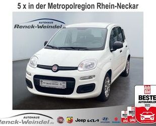 Fiat Fiat Panda Easy 1.2 Klima Start-Stop Spieg. beheiz Gebrauchtwagen