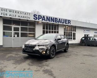 Subaru Subaru XV 1.6 | Standheizung | AHK Gebrauchtwagen