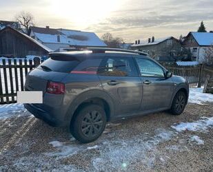 Citroen Citroën C4 Cactus PureTech 110 Gebrauchtwagen