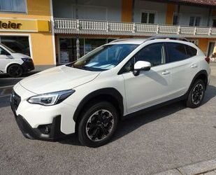 Subaru Subaru XV 1.6i Lineartronic EDITION Comfort plus 4 Gebrauchtwagen