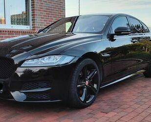 Jaguar Jaguar XF 25d AWD 240PS R-Sport Auto.-Pano-Winter Gebrauchtwagen