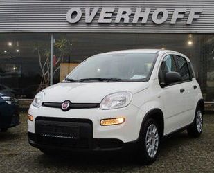 Fiat Fiat Panda 1.0 GSE Mild Hybrid Gebrauchtwagen