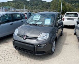 Fiat Fiat Panda 1.0 Klima | Tech Paket Gebrauchtwagen