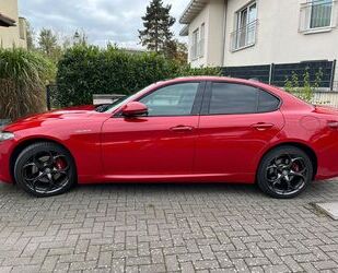 Alfa Romeo Alfa Romeo Giulia 2.0 Turbo 16V 206kW AT8-Q4 Veloc Gebrauchtwagen