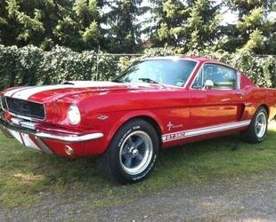 Ford Ford Mustang GT350 Shelby Gebrauchtwagen