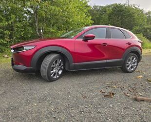 Mazda Mazda CX-30 2.0 SKYACTIV-G M-Hybrid Selection Sele Gebrauchtwagen