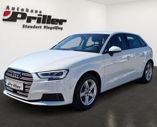 Audi Audi A3 Sportback 30 TDI/LED/NAVI/ACC/Assistenz-Pa Gebrauchtwagen