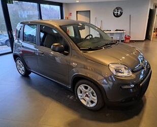 Fiat Fiat Panda Gebrauchtwagen