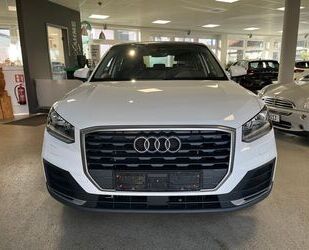 Audi Audi Q2 1.0 TFSI ultra AHK/Schiebedach/GRA Gebrauchtwagen