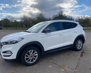 Hyundai Hyundai Tucson Blue 1.6 GDI Passion Gebrauchtwagen