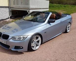 BMW BMW 335i Cabrio DKG N55 Harman Kardon adapt.Licht Gebrauchtwagen