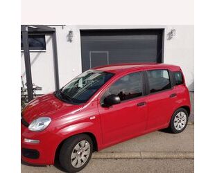 Fiat Fiat New Panda 1.2 8V EASY EASY Gebrauchtwagen