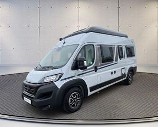 Fiat Fiat Ducato Carado CV 600 Pro Edition Gebrauchtwagen