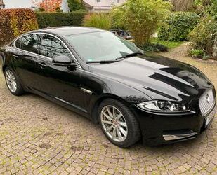 Jaguar Jaguar XF 3.0 L V6 Diesel Gebrauchtwagen