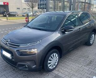 Citroen Citroën C4 Cactus 1.5 BlueHDI 100 FEEL RIP CURL Gebrauchtwagen