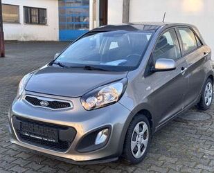 Kia Kia Picanto Edition 7 Gebrauchtwagen