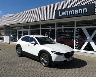 Mazda Mazda CX-30 SKYACTIV-X 2.0 6AG SEL A18-B BOS DES-P Gebrauchtwagen