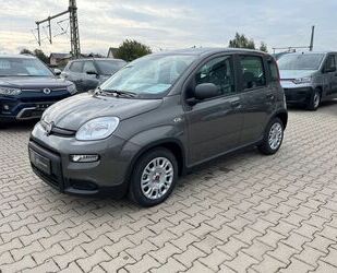 Fiat Fiat Panda 1.0 | Klima | Tech Paket Gebrauchtwagen