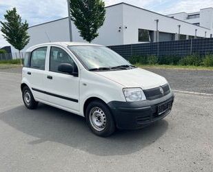 Fiat Fiat Panda 1.2 8V Active,1.Hand, Gebrauchtwagen