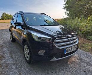 Ford Ford Kuga 1,5 EcoBoost 2x4 110kW Individual Indiv. Gebrauchtwagen