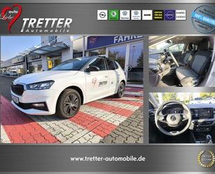 Skoda Skoda Fabia 1.0 Select. Navi SmartLink RüKam Winte Gebrauchtwagen