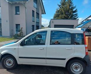 Fiat Fiat Panda Gebrauchtwagen