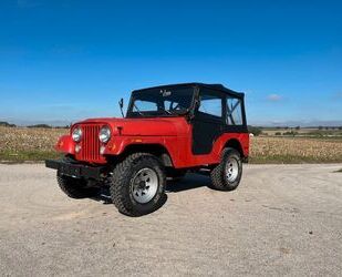 Jeep Jeep CJ Gebrauchtwagen