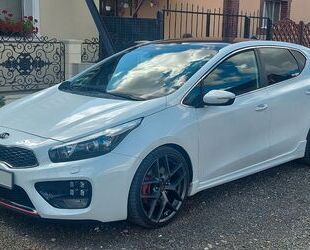 Kia Kia ceed 1.6 T-GDI GT-Track Gebrauchtwagen