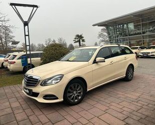 Mercedes-Benz Mercedes-Benz E 220 BlueTec T-Modell Gebrauchtwagen