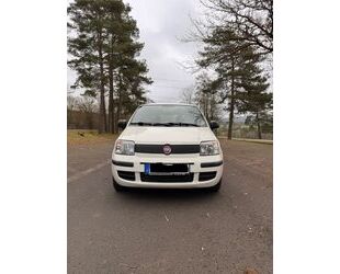 Fiat Fiat Panda Gebrauchtwagen