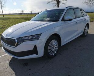 Skoda Skoda Octavia Kombi 1.5 TSI AHK Sitzh LED GRA GV5 Gebrauchtwagen