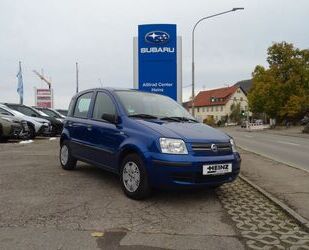 Fiat Fiat Panda 1.2 8V Dynamic Gebrauchtwagen